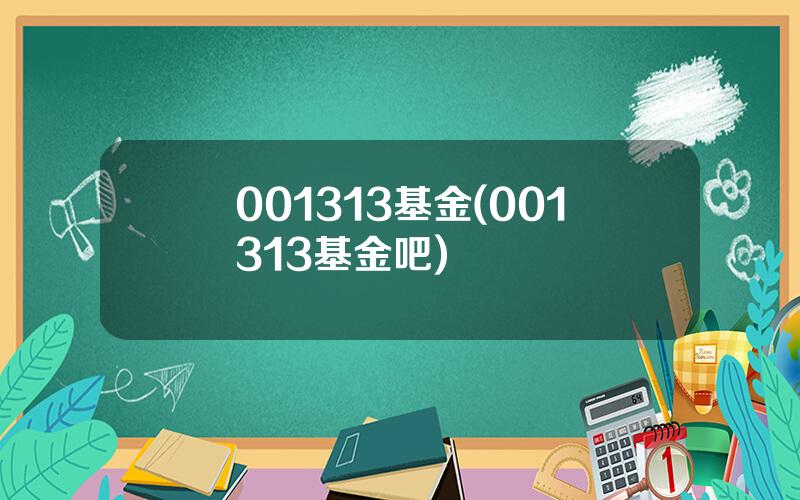 001313基金(001313基金吧)