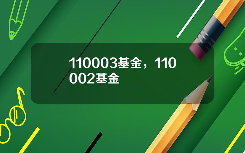 110003基金，110002基金