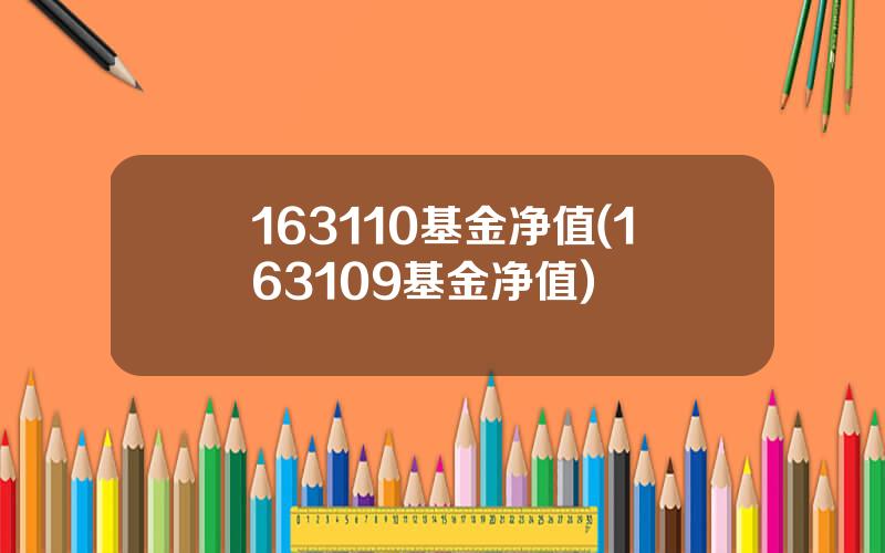 163110基金净值(163109基金净值)