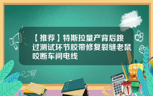 【推荐】特斯拉量产背后跳过测试环节胶带修复裂缝老鼠咬断车间电线