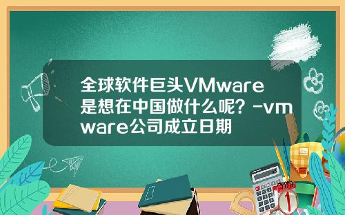 全球软件巨头VMware是想在中国做什么呢？-vmware公司成立日期