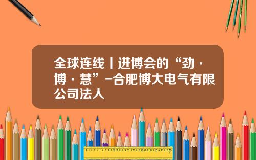 全球连线丨进博会的“劲·博·慧”-合肥博大电气有限公司法人