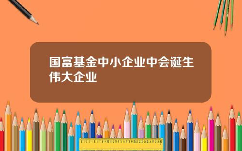 国富基金中小企业中会诞生伟大企业