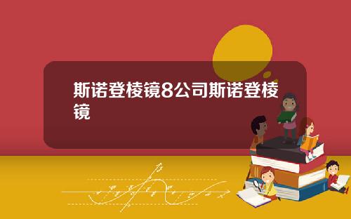 斯诺登棱镜8公司斯诺登棱镜