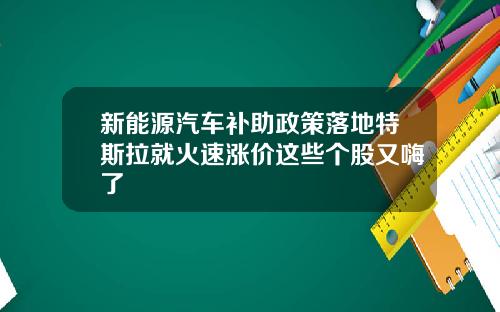 新能源汽车补助政策落地特斯拉就火速涨价这些个股又嗨了