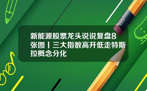 新能源股票龙头说说复盘8张图丨三大指数高开低走特斯拉概念分化