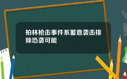柏林枪击事件系蓄意袭击排除恐袭可能