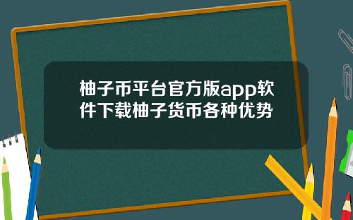 柚子币平台官方版app软件下载柚子货币各种优势
