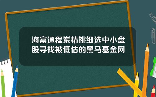 海富通程岽精挑细选中小盘股寻找被低估的黑马基金网