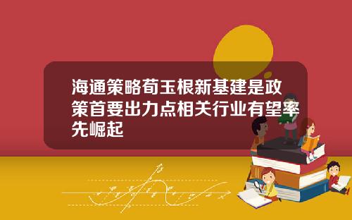 海通策略荀玉根新基建是政策首要出力点相关行业有望率先崛起