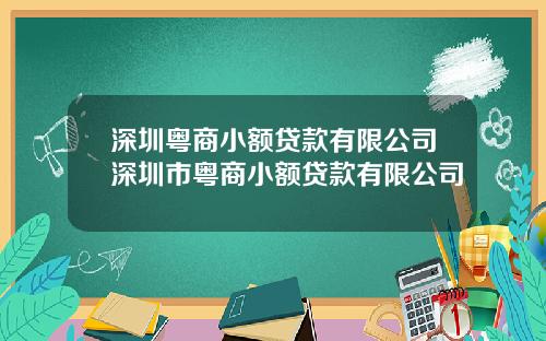 深圳粤商小额贷款有限公司深圳市粤商小额贷款有限公司
