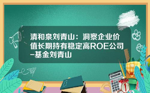 清和泉刘青山：洞察企业价值长期持有稳定高ROE公司-基金刘青山