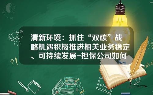 清新环境：抓住“双碳”战略机遇积极推进相关业务稳定、可持续发展-担保公司如何转型
