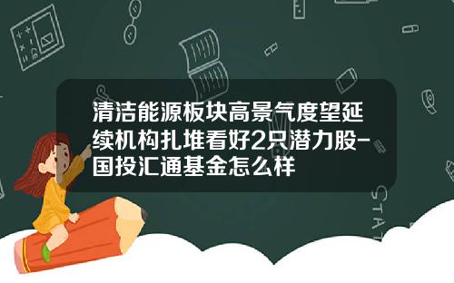 清洁能源板块高景气度望延续机构扎堆看好2只潜力股-国投汇通基金怎么样
