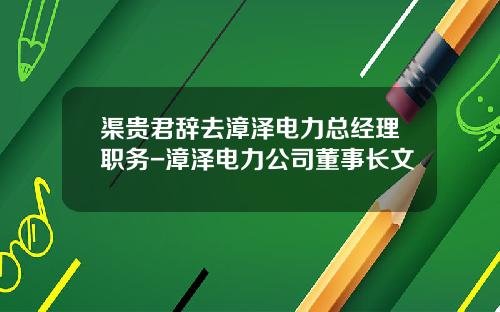 渠贵君辞去漳泽电力总经理职务-漳泽电力公司董事长文