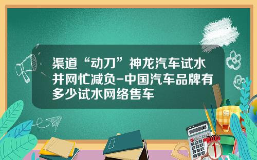 渠道“动刀”神龙汽车试水并网忙减负-中国汽车品牌有多少试水网络售车