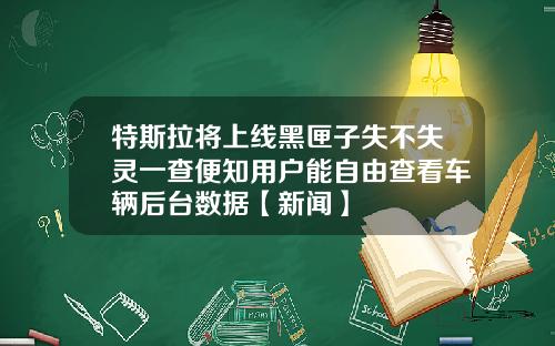 特斯拉将上线黑匣子失不失灵一查便知用户能自由查看车辆后台数据【新闻】