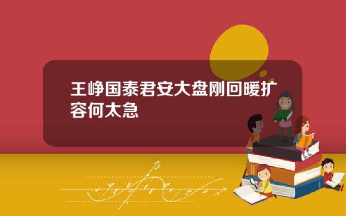 王峥国泰君安大盘刚回暖扩容何太急