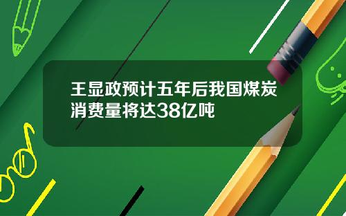 王显政预计五年后我国煤炭消费量将达38亿吨