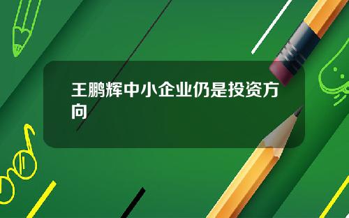 王鹏辉中小企业仍是投资方向
