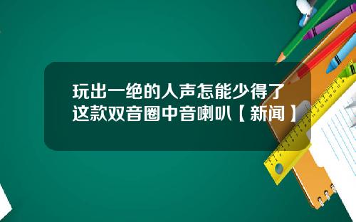 玩出一绝的人声怎能少得了这款双音圈中音喇叭【新闻】