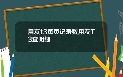 用友t3每页记录数用友T3查明细