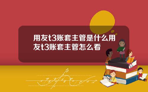 用友t3账套主管是什么用友t3账套主管怎么看