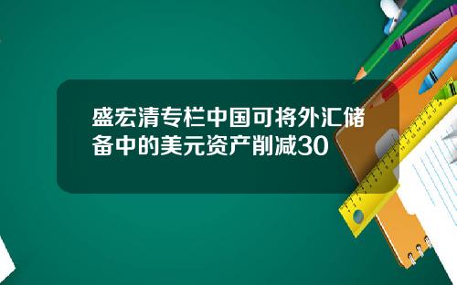 盛宏清专栏中国可将外汇储备中的美元资产削减30
