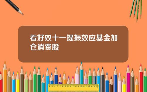 看好双十一提振效应基金加仓消费股