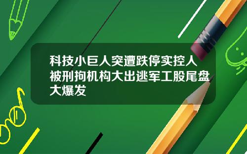 科技小巨人突遭跌停实控人被刑拘机构大出逃军工股尾盘大爆发