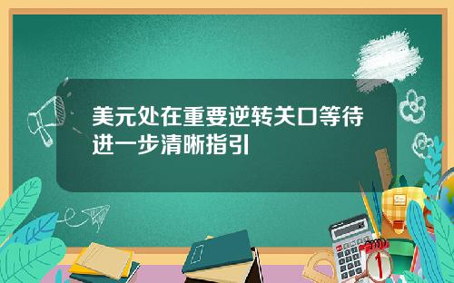 美元处在重要逆转关口等待进一步清晰指引