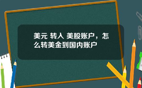美元 转入 美股账户,怎么转美金到国内账户