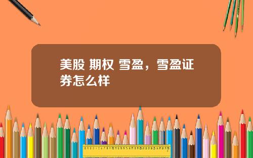 美股 期权 雪盈,雪盈证券怎么样