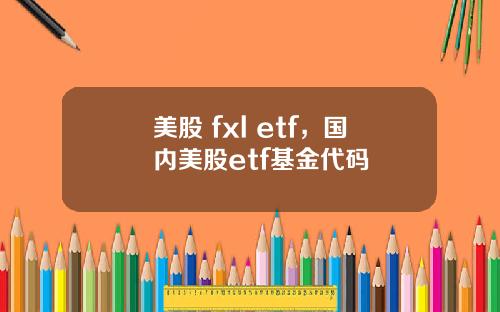 美股 fxl etf,国内美股etf基金代码