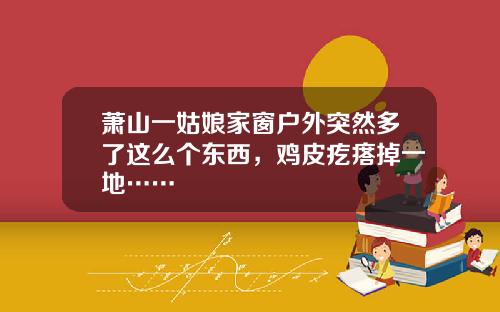 萧山一姑娘家窗户外突然多了这么个东西,鸡皮疙瘩掉一地……