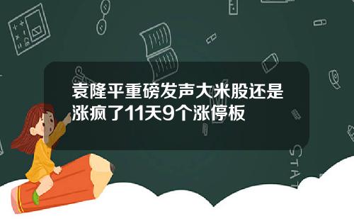 袁隆平重磅发声大米股还是涨疯了11天9个涨停板