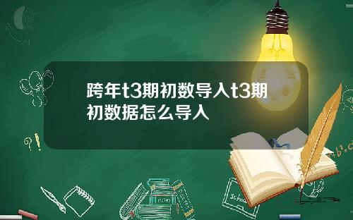 跨年t3期初数导入t3期初数据怎么导入