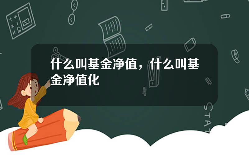 什么叫基金净值，什么叫基金净值化