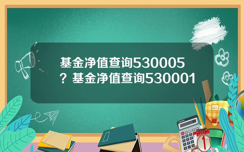 基金净值查询530005？基金净值查询530001
