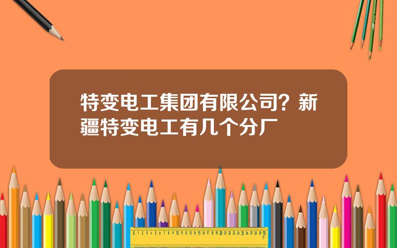特变电工集团有限公司？新疆特变电工有几个分厂