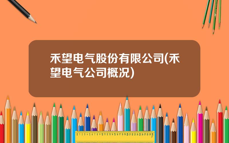 禾望电气股份有限公司(禾望电气公司概况)