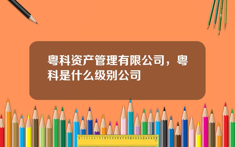 粤科资产管理有限公司，粤科是什么级别公司