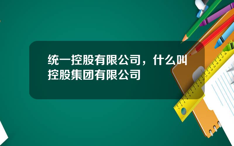 统一控股有限公司，什么叫控股集团有限公司