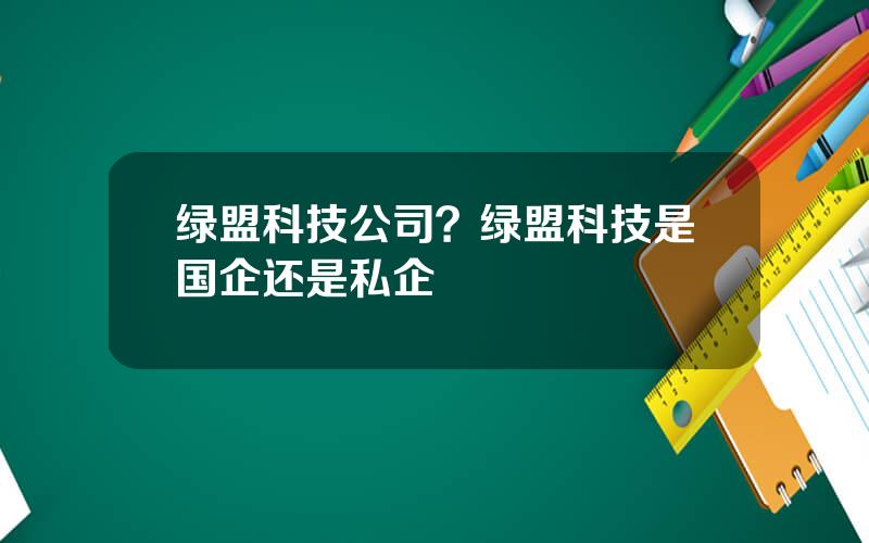 绿盟科技公司？绿盟科技是国企还是私企