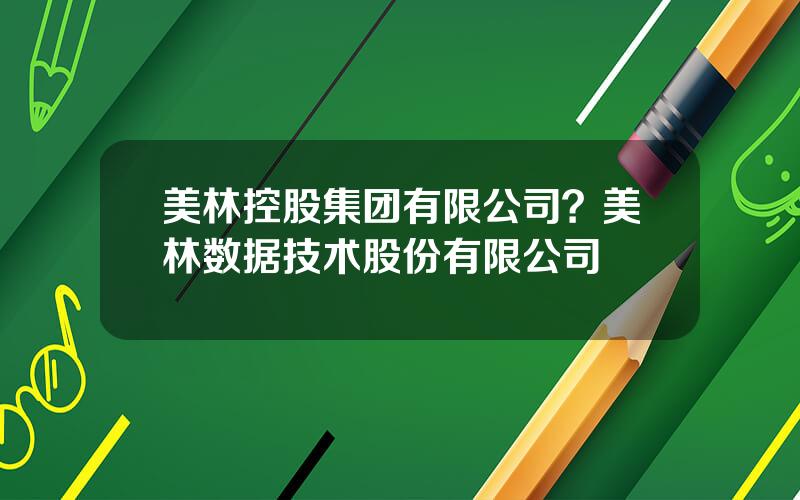 美林控股集团有限公司？美林数据技术股份有限公司