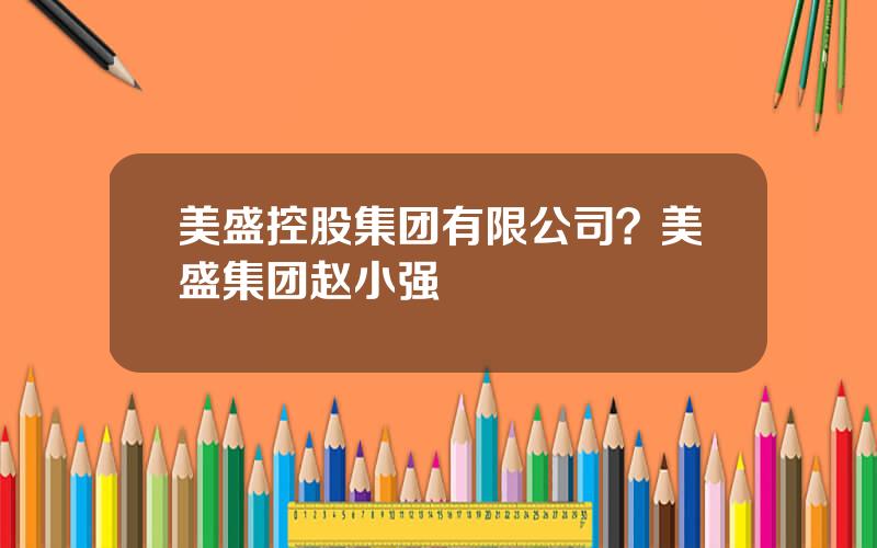 美盛控股集团有限公司？美盛集团赵小强