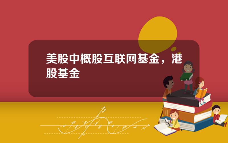 美股中概股互联网基金，港股基金