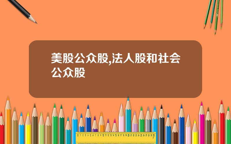 美股公众股,法人股和社会公众股