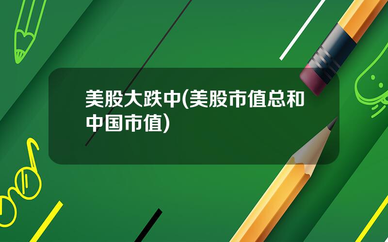 美股大跌中(美股市值总和中国市值)