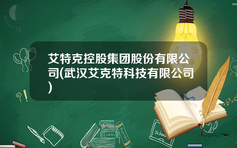 艾特克控股集团股份有限公司(武汉艾克特科技有限公司)